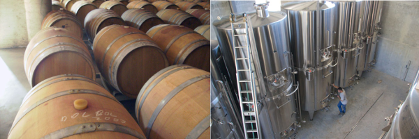 A sinistra la fermentazione classica in botti di legno, a destra la fermentazione moderna in acciaio