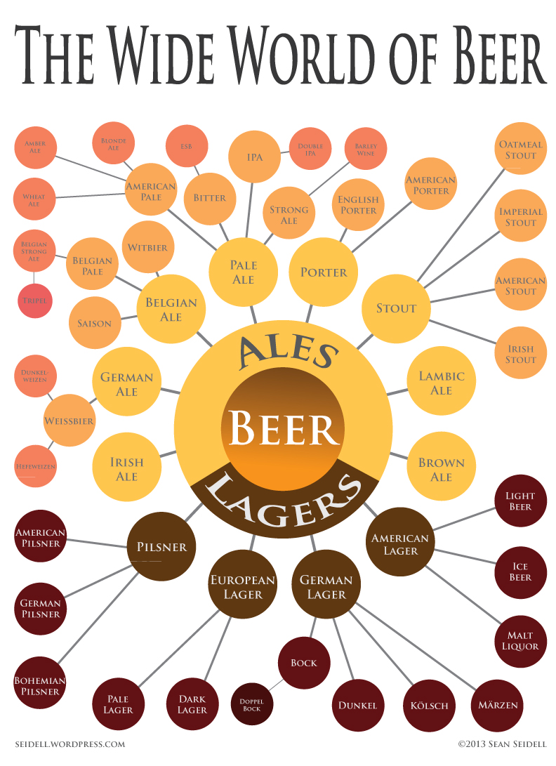 Infografica classificazione birra