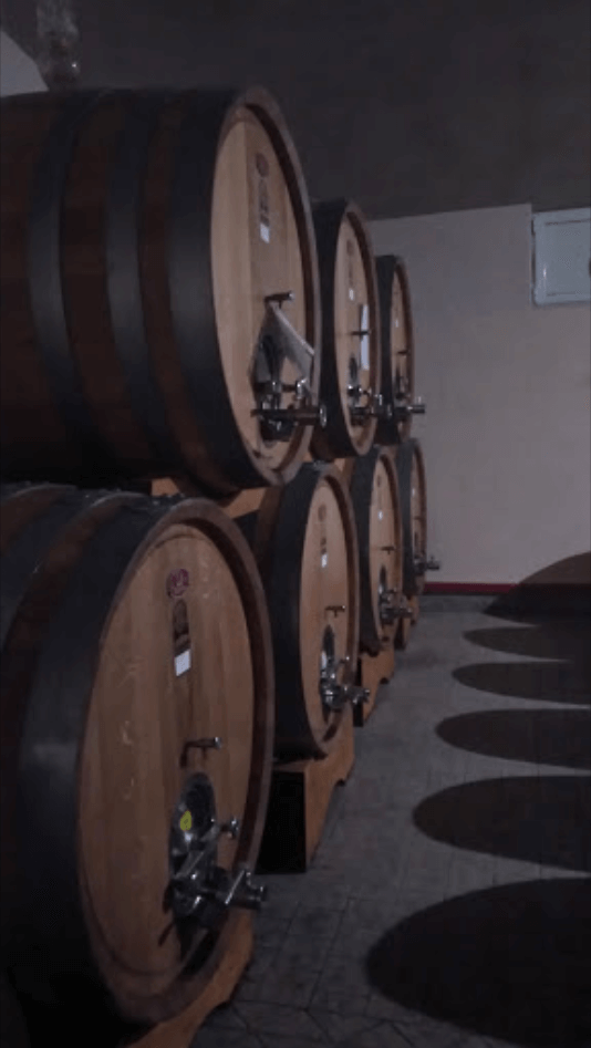 Botti in cantina molino