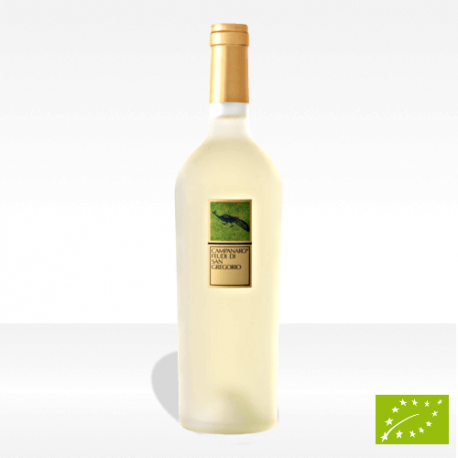 "Campanaro" Irpinia Bianco DOC biologico di Feudi di San Gregorio, vendita online