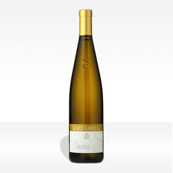 Verdicchio dei castelli di Jesi DOC "Classico" - Sartarelli
