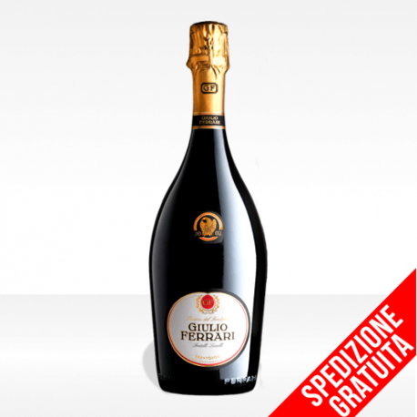 Trento DOC "Giulio Ferrari" Riserva del Fondatore di Ferrari vino spumante del trentino vendita online spedizione gratuita
