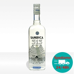 Sambuca 'Sambvuca 313' - Pallini