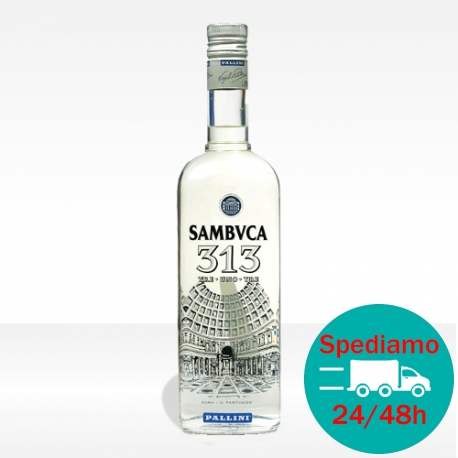 Sambuca 'Sambvuca 313' - Pallini