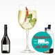 Hugo Spritz con sciroppo fiori di sambuco, prosecco e seltz