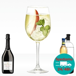 Hugo Spritz con sciroppo fiori di sambuco, prosecco e seltz