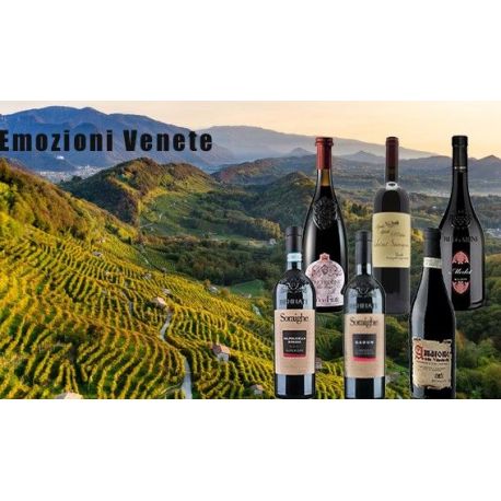 EMOZIONI VENETE