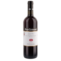 Pio Cesare Grignolino del Monferrato DOC