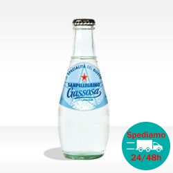SANPELLEGRINO GASSOSA VAP - 0,20 X24lt