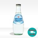 SANPELLEGRINO GASSOSA VAP - 0,20 X24lt