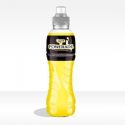 POWERADE CITRUS -  Formato 0,5 x12lt