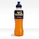 POWERADE MANGO - Formato 0,5x12 lt